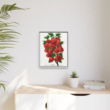 Industry Gooseberry lithograph. Digitally enhanced from our own original 1900 edition plates of Botanical Specimen published by Rochester Lithographing