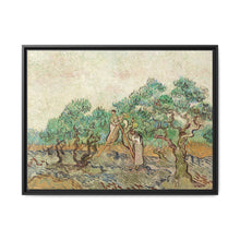 The Olive Orchard (1889) by Vincent van Gogh - Antique Framed Art Print - NOMADEN ART GALLERY