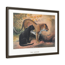 The Leopard from Zoological sketches (1861-1867) by Joseph Wolf and Philip Lutley Sclater