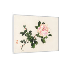 Pink rose by Kōno Bairei (1844-1895)