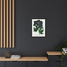 Wachusett Blackberry Lithograph | Vintage Botanical Wall Art
