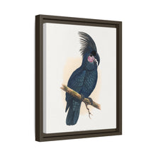 Great Black Cockatoo (Probosciger aterrimus) colored wood-engraved plate by Alexander Francis Lydon