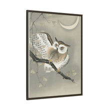 Long-eared owl in ginkgo (1900 - 1930) by Ohara Koson