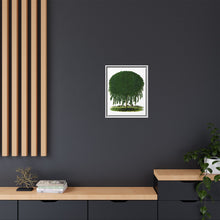 Kilmarnock Weeping Willow tree lithograph. Digitally enhanced from our own original 1900 edition plates of Botanical Specimen published by Rochester Lithographing