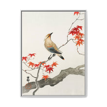 Japanese plague bird on maple (1900 - 1936) by Ohara Koson