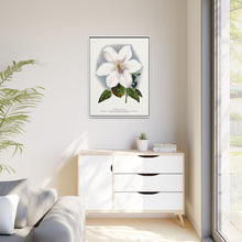 Clematis flower lithograph. Digitally enhanced from our own original 1900 edition plates of Botanical Specimen published by Rochester Lithographing