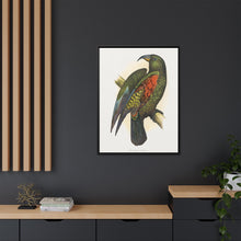 Mountain Parrot (Nestor notabilis) colored wood-engraved plate by Alexander Francis Lydon