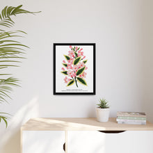 Pink flowers, Weigela lithograph (1900)