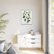 Japanese snowball flower lithograph. Digitally enhanced from our own original 1900 edition plates of Botanical Specimen published by Rochester Lithographing