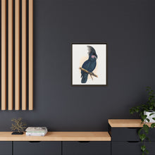 Great Black Cockatoo (Probosciger aterrimus) colored wood-engraved plate by Alexander Francis Lydon