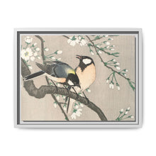 Tits on Cherry Branch (1900–1910) by Ohara Koson