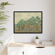 Vincent van Gogh's The Olive Orchard (1889) - NOMADEN ART GALLERY
