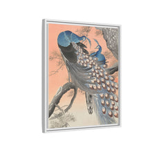 Two peacocks on tree branch (1900 - 1930) by Ohara Koson