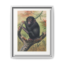 The Chimpanzee from Zoological sketches (1861-1867) by Joseph Wolf and Philip Lutley Sclater. - NOMADEN ART GALLERY