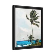 Palm Tree, Nassau (1898) by Winslow Homer - NOMADEN ART GALLERY