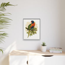 Blue Mountain Lory (Trichoglossus moluccanus) colored wood-engraved plate by Alexander Francis Lydon.