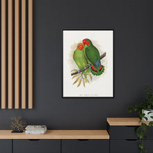 Lydon's West African Love-Bird | Vintage Avian Wall Art Print