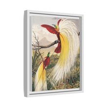 Birds of Paradise: Vintage Natural History Art by Benjamin Fawcett (1808 - 1893)
