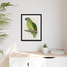 Lydon's Yellow-Naped Amazon | Vintage Parrot Wall Art Print