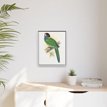Lydon's Yellow-Naped Parrakeet | Vintage Bird Wall Art Print