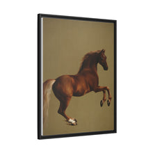 Whistlejacket es una pintura al óleo sobre lienzo de alrededor de 1762 que muestra el caballo de carreras del marqués de Rockingham, encabritado sobre un fondo blanco.