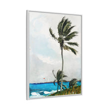Palm Tree, Nassau (1898) by Winslow Homer