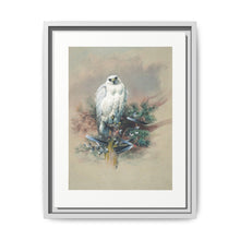 The Greenland Falcon from Zoological sketches (1861-1867) by Joseph Wolf and Philip Lutley Sclater - NOMADEN ART GALLERY