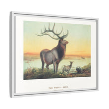 The Wapiti from Zoological sketches (1861-1867) by Joseph Wolf and Philip Lutley Sclater