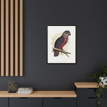Dusky or Violet Parrot (Pionus fuscus) colored wood-engraved plate by Alexander Francis Lydon.