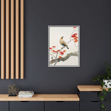 Japanese plague bird on maple (1900 - 1936) by Ohara Koson