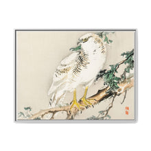 Northern mockingbird by Kōno Bairei (1844-1895) - NOMADEN ART GALLERY