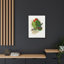 Lydon's West African Love-Bird | Vintage Avian Wall Art Print
