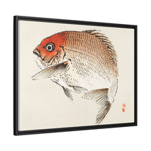 Tai (Red Seabream) fish by Kōno Bairei