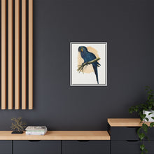 Hyacinthine Macaw (Anodorhynchus hyacinthinus) colored wood-engraved plate by Alexander Francis Lydon.
