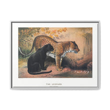 The Leopard from Zoological sketches (1861-1867) by Joseph Wolf and Philip Lutley Sclater - NOMADEN ART GALLERY