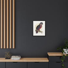 Dusky or Violet Parrot (Pionus fuscus) colored wood-engraved plate by Alexander Francis Lydon.
