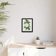 Rose, Perpetual White Moss lithograph. Digitally enhanced from our own original 1900 edition plates of Botanical Specimen published by Rochester Lithographing - NOMADEN ART GALLERY