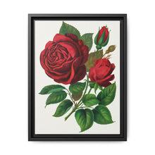 Red Rose, Prince Camille De Rohan Lithograph - NOMADEN ART GALLERY