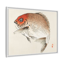 Tai (Red Seabream) fish by Kōno Bairei
