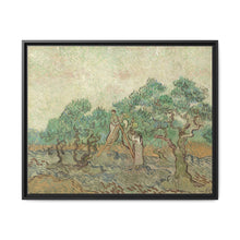 Vincent van Gogh's The Olive Orchard (1889) - Historical Art Canvas Print - NOMADEN ART GALLERY