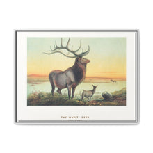 The Wapiti from Zoological sketches (1861-1867) by Joseph Wolf and Philip Lutley Sclater - NOMADEN ART GALLERY