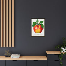 Wolf River Apple Lithograph | Vintage Botanical Wall Art Print