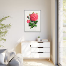 Pink rose, Anna De Diesbach lithograph. Digitally enhanced from our own original 1900 edition plates of Botanical Specimen published by Rochester Lithographing