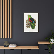 Red-winged parakeet (Aprosmictus erythropterus) colored wood-engraved plate by Alexander Francis Lydon