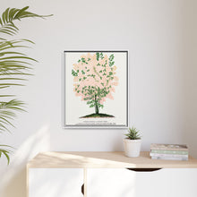 Purple Fringe tree lithograph. Digitally enhanced from our own original 1900 edition plates of Botanical Specimen published by Rochester Lithographing