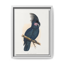 Great Black Cockatoo (Probosciger aterrimus) colored wood-engraved plate by Alexander Francis Lydon - NOMADEN ART GALLERY