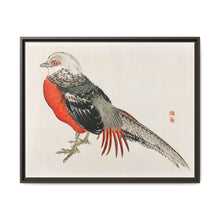 Japanese pheasant by Kōno Bairei (1844-1895) - NOMADEN ART GALLERY