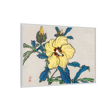 Hibiscus by Kōno Bairei (1844-1895)
