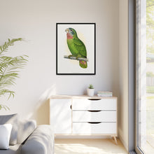 Jamaica Parrot (Amazona collaria) colored wood-engraved plate by Alexander Francis Lydon