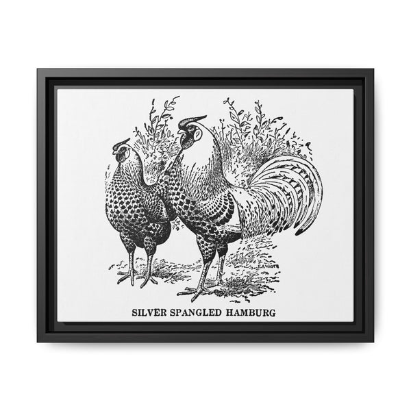 Vintage chicken drawing from our own original copy of The Open Door to Independence (1915) by Thomas E. Hill. - NOMADEN ART GALLERY